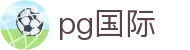 pg国际-赋能企业数智升级